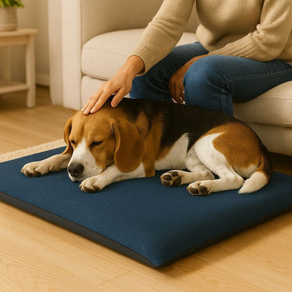 Zip fastening on the removable cover of the fleece dog mat