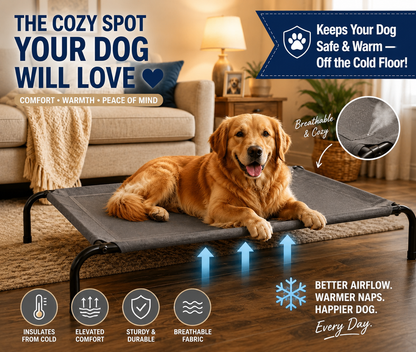 Elevated mesh dog bed – cooling airflow, holds up to 50kg, indoor and outdoor use – Nimora Home